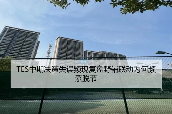 TES中期决策失误频现复盘野辅联动为何频繁脱节 | MILAN.COMapp